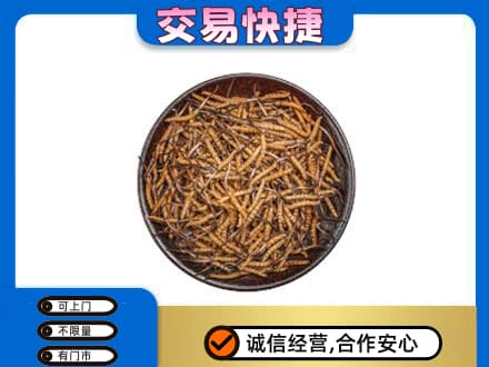常德市临澧高价回收散虫草