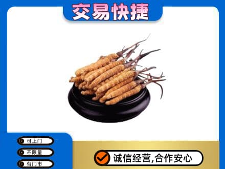常德市临澧回收冬虫夏草多少钱每克